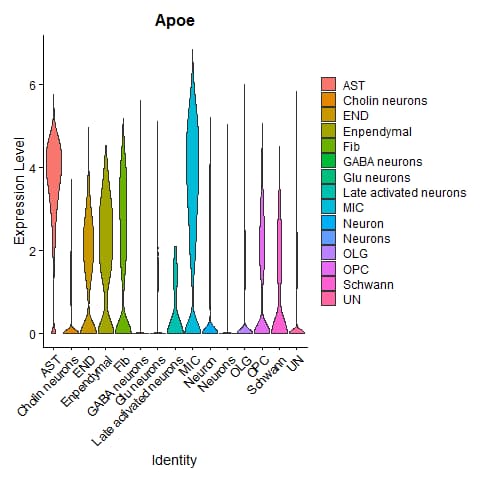 Apoe violin plot for celltype