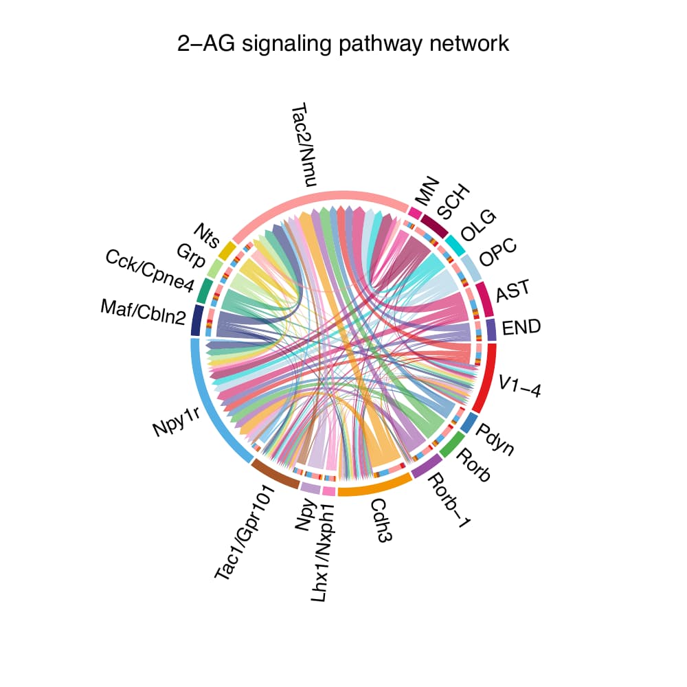 2-AG pathway chord plot for AD_15