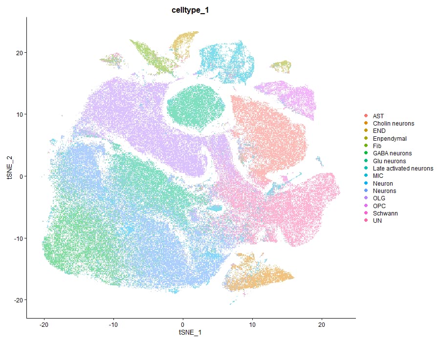 Cell type 1 TSNE clustering
