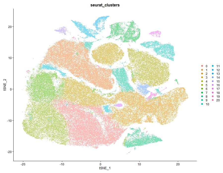 Seurat clusters TSNE