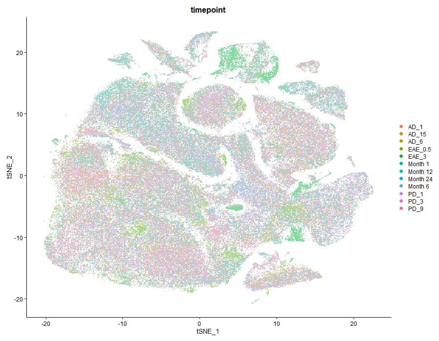 Timepoint TSNE clustering