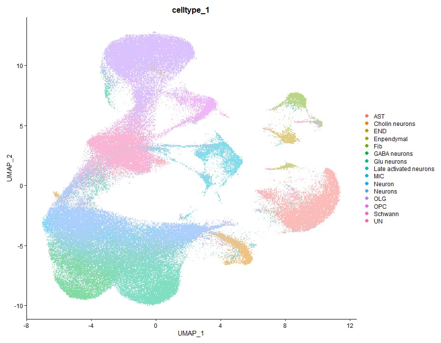 umap cell type clustering