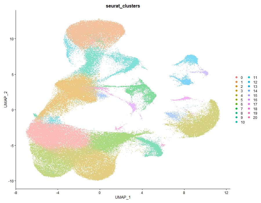 Seurat clusters UMAP