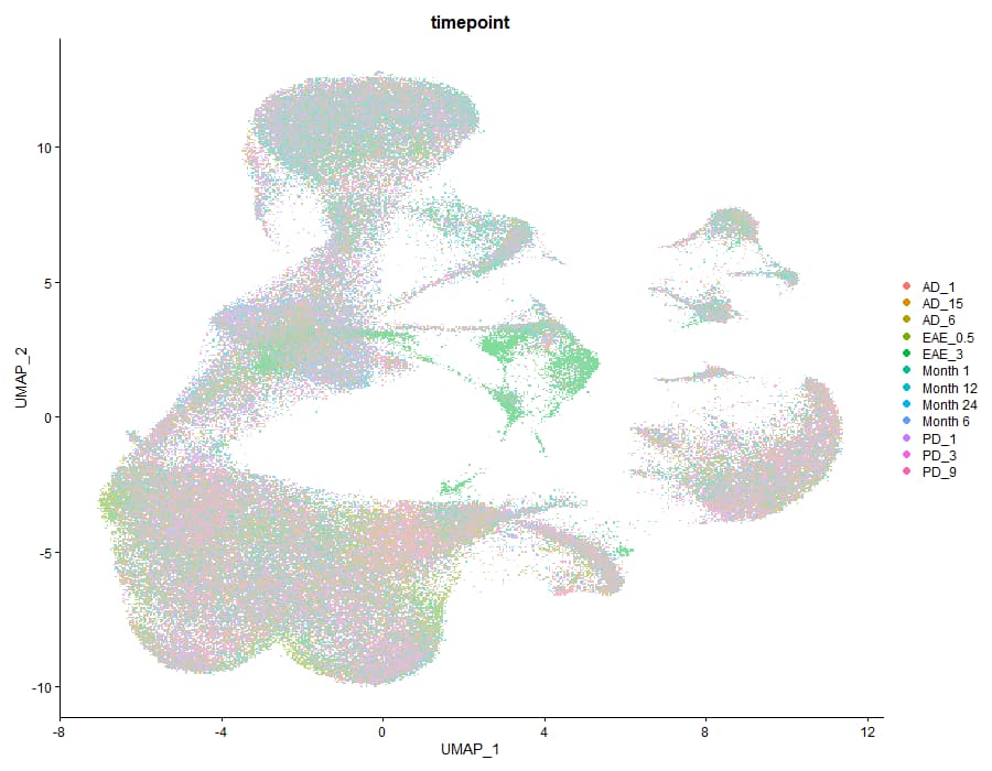 Timepoint UMAP clustering