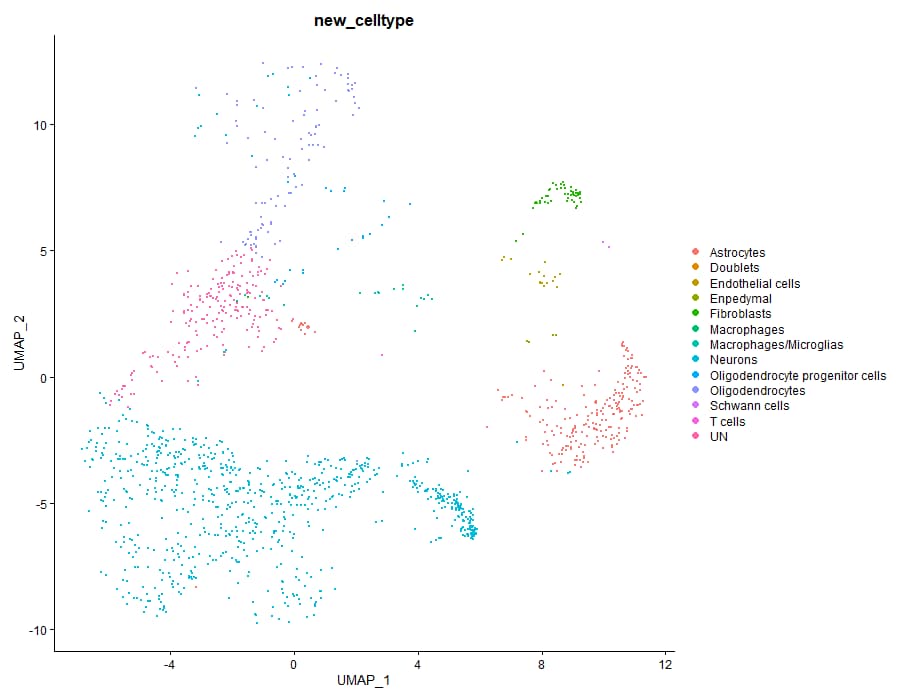 umap clustering plot for A1N1J1