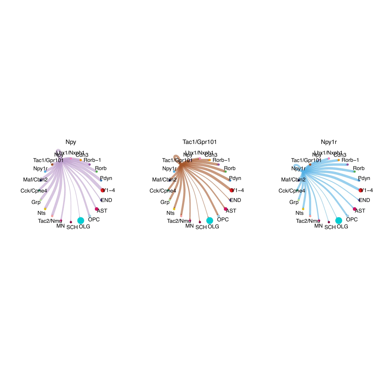 AD_15 .2.CellChat.single.Interaction_counts.splitted_by_celltype_page_3