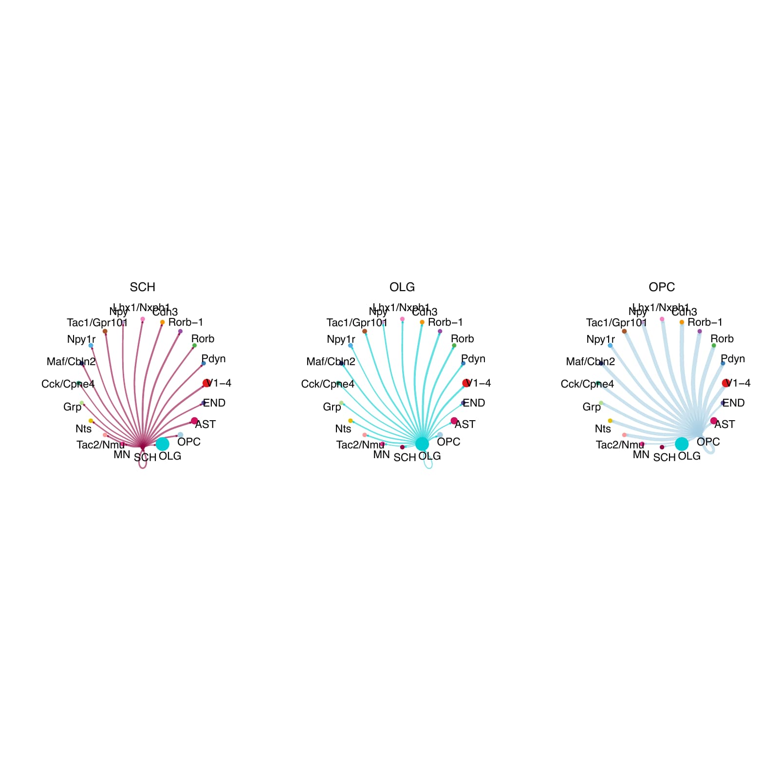 AD_15 .2.CellChat.single.Interaction_counts.splitted_by_celltype_page_6