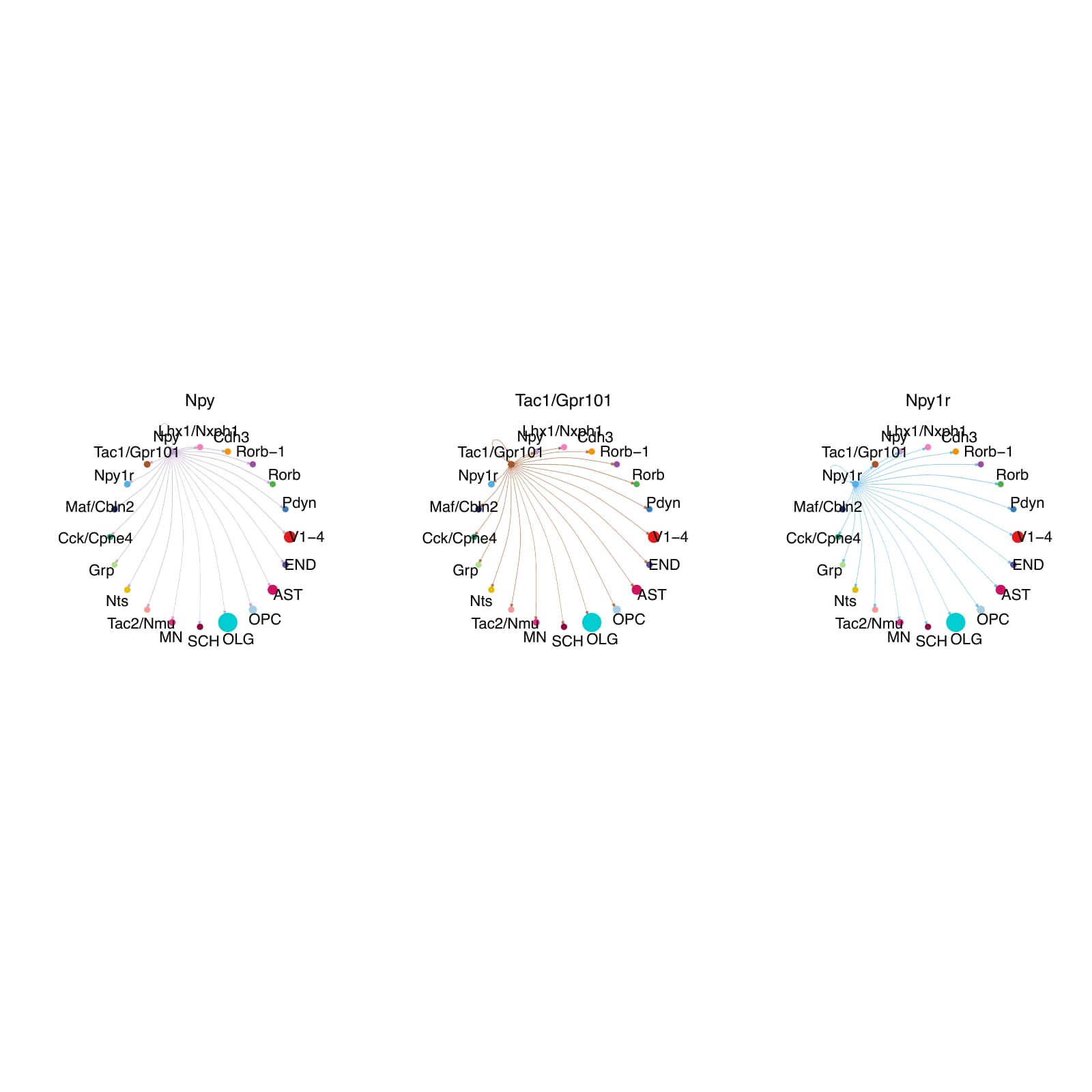 AD_15 .2.CellChat.single.Interaction_weights.splitted_by_celltype_page_3